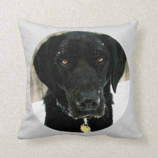 Sneeuwt hoe u Nice Black Lab Pillow kunt afspelen Kussen