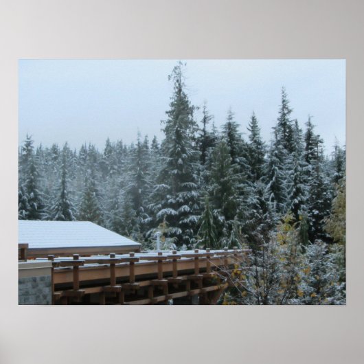 Sneeuwtafereel in Whistler, B.C. Poster (Voorkant)