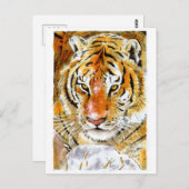 Sneeuwtijger Briefkaart (Voorkant / Achterkant)