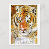 Sneeuwtijger Briefkaart (Voorkant)