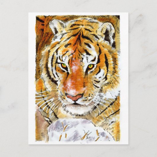 Sneeuwtijger Briefkaart (Voorkant)
