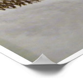 Sneeuwtijger Poster (Hoek)