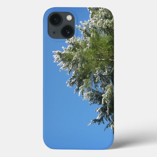 Sneeuwtop Den op Blauwe Lucht Case-Mate iPhone Case (Achterkant)