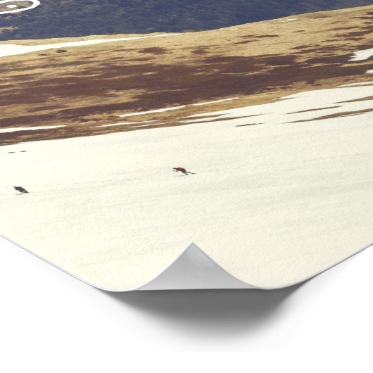 Sneeuwtoppen Poster (Hoek)