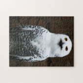 Sneeuwuil 11x14 252pc jpcna legpuzzel (Horizontaal)