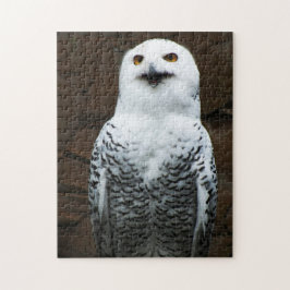 Sneeuwuil 11x14 252pc jpcna legpuzzel