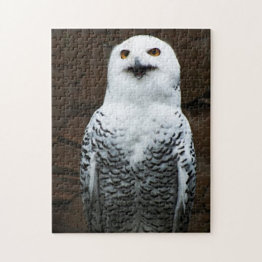 Sneeuwuil 11x14 252pc jpcna legpuzzel (Verticaal)