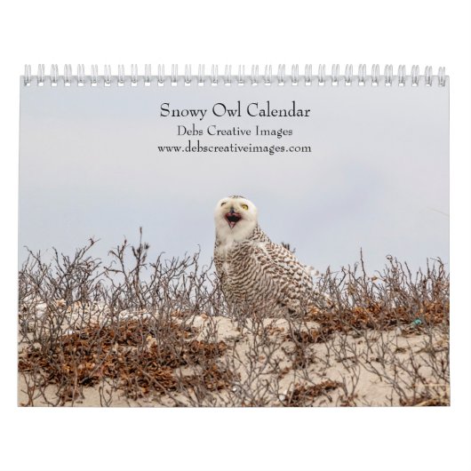 Sneeuwuil 2026 kalender (Hoes)