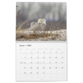 Sneeuwuil 2026 kalender (Mar 2027)
