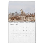 Sneeuwuil 2026 kalender (Feb 2027)