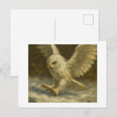 Sneeuwuil, Briefkaart (Voorkant / Achterkant)