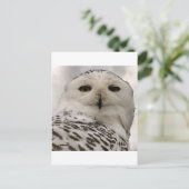 sneeuwuil briefkaart (Staand voorkant)