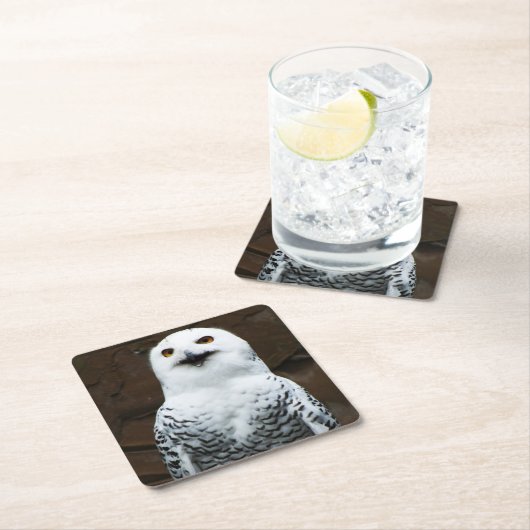 Sneeuwuil coastercna kartonnen onderzetters (Insitu)
