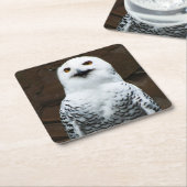Sneeuwuil coastercna kartonnen onderzetters (Schuin)