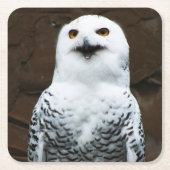 Sneeuwuil coastercna kartonnen onderzetters (Voorkant)