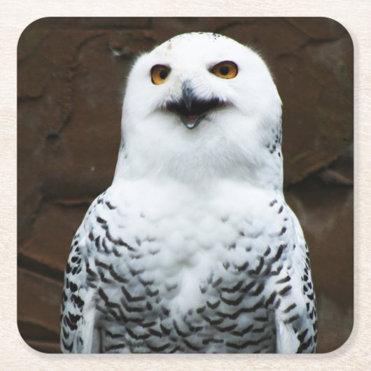 Sneeuwuil coastercna kartonnen onderzetters (Voorkant)