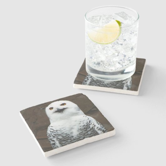 Sneeuwuil coastercnm stenen onderzetter (Zijkant)