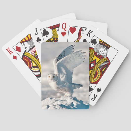 Sneeuwuil die opstijgt uit de sneeuw speelkaarten (Achterkant)