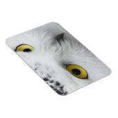 Sneeuwuil foto flexibele magneet (Rechterzijde)