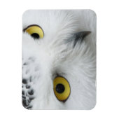 Sneeuwuil foto flexibele magneet (Verticaal)