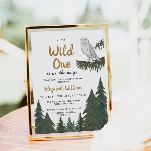 Sneeuwuil illustratie Baby shower Kaart