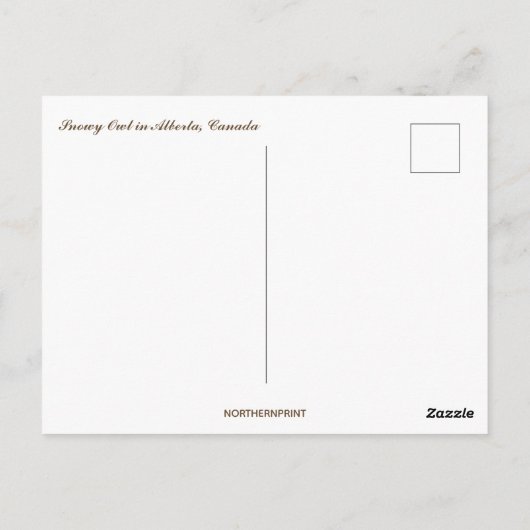 Sneeuwuil in Albert Canada Briefkaart (Achterkant)