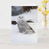 Sneeuwuil in de avondschaduwen kaart (Gele Bloem)