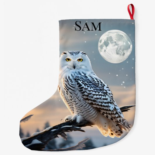 Sneeuwuil in de winter maanlicht met sneeuw vallen grote kerstsok (Achterkant)