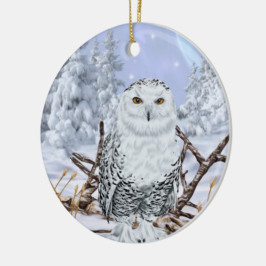 Sneeuwuil in Sneeuw Keramisch Ornament (Links)