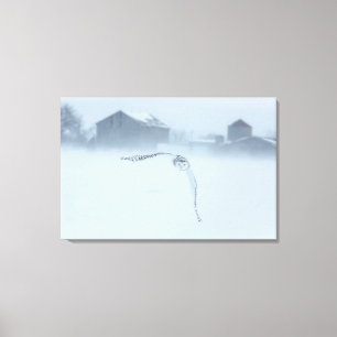 Sneeuwuil in vlucht in de winter canvas afdruk