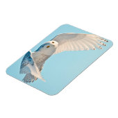 Sneeuwuil in vlucht magneet (Linkerzijde)