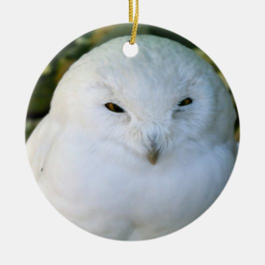 Sneeuwuil Keramisch Ornament (Voorkant)
