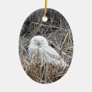 sneeuwuil keramisch ornament