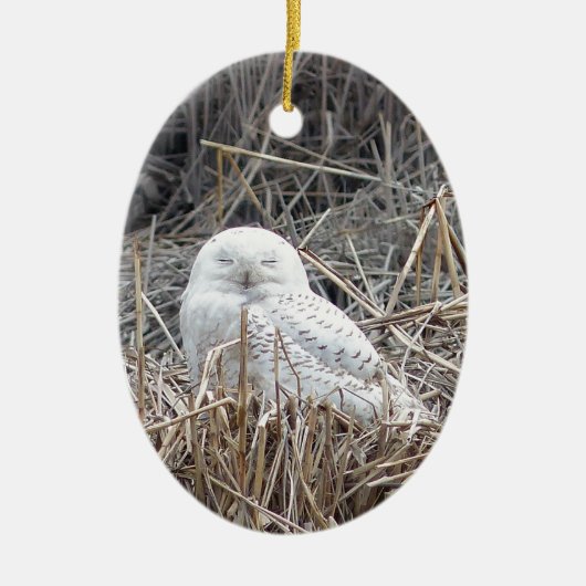sneeuwuil keramisch ornament (Voorkant)