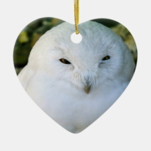 Sneeuwuil Keramisch Ornament (Voorkant)