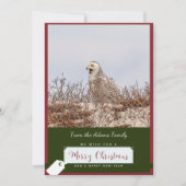 Sneeuwuil Kerst Kaart (Voorkant)