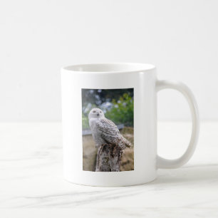Sneeuwuil Koffiemok