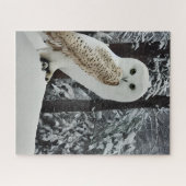 Sneeuwuil  legpuzzel (Horizontaal)