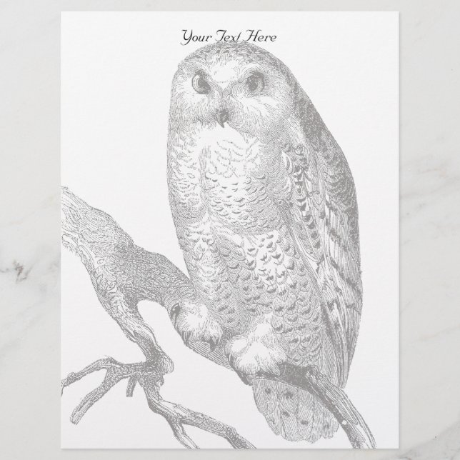  sneeuwuil Letterhead (Voorkant)