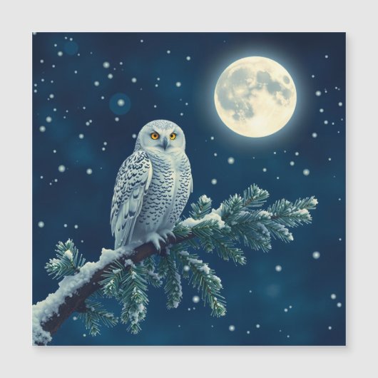Sneeuwuil leuke kerstkaart (Voorkant)