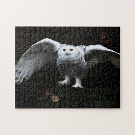 Sneeuwuil met open vleugels 11x14 252pc jpcna legpuzzel (Horizontaal)
