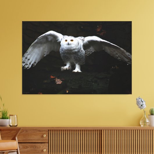 Sneeuwuil met open vleugels 60x40 (150x100cm) wacc canvas afdruk (Insitu (Woonkamer))