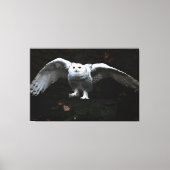 Sneeuwuil met open vleugels 60x40 (150x100cm) wacc canvas afdruk (Voorkant)