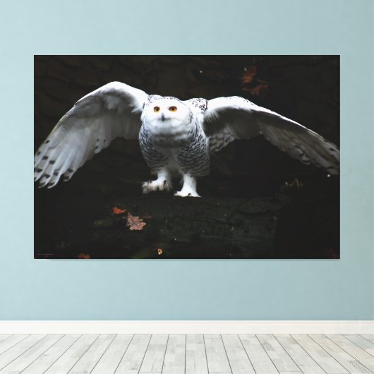 Sneeuwuil met open vleugels 60x40 (150x100cm) wacc canvas afdruk (Insitu (Houten vloer))