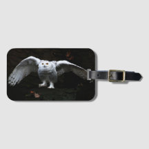 Sneeuwuil met open vleugels BC LTCNA