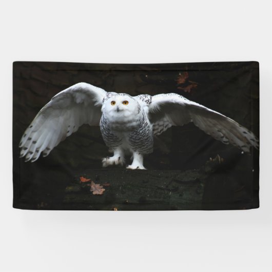 Sneeuwuil met open vleugels bnrcnm spandoek (Horizontaal)