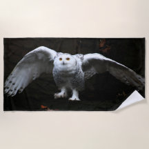 Sneeuwuil met open vleugels btcnm