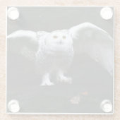 Sneeuwuil met open vleugels coastercnm glazen onderzetter (Achterkant)