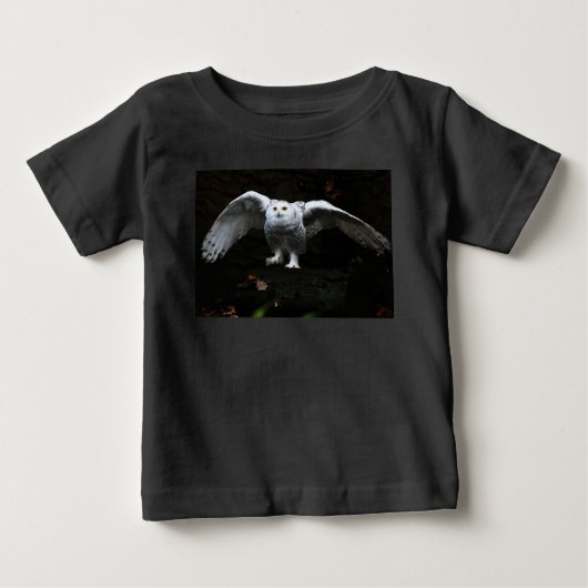 Sneeuwuil met open vleugels ICCNM (Voorkant)