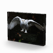 Sneeuwuil met open vleugels pbcna fotoblokken (Rechts)